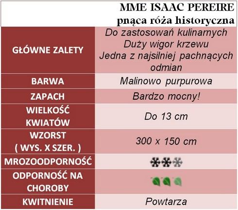 Mme Isaac Pereire